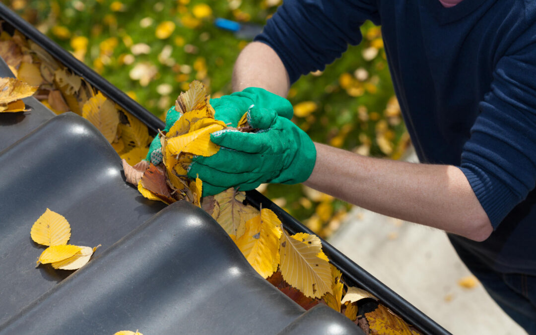 Essential Roof & Gutter Maintenance for Home Longevity