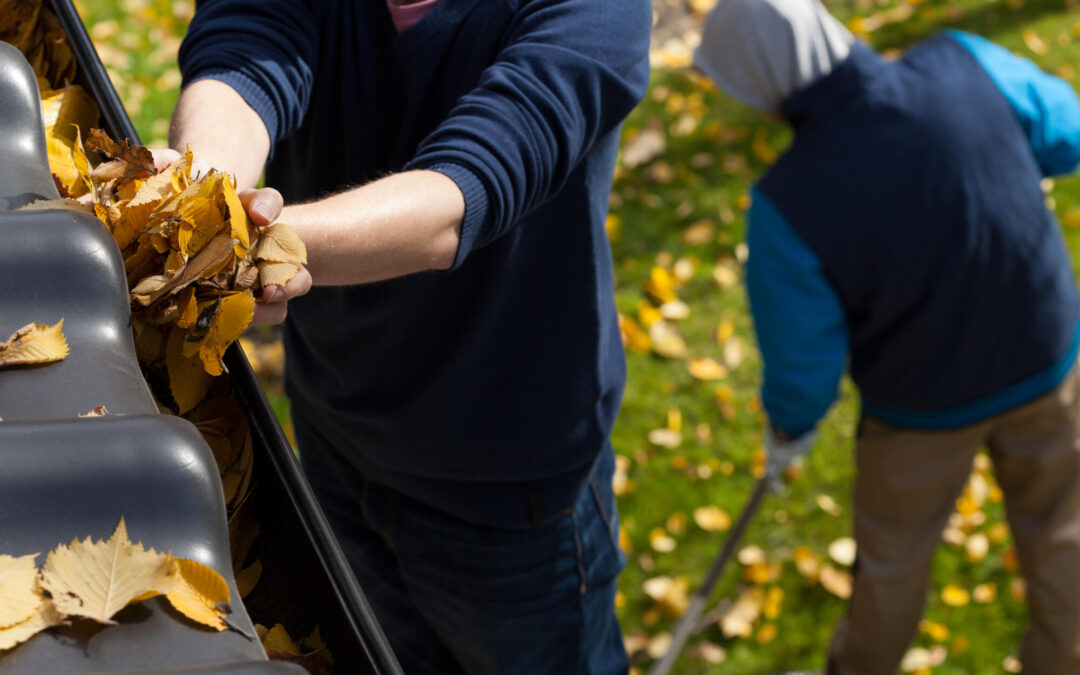 Affordable Gutter Cleaning Service Near You